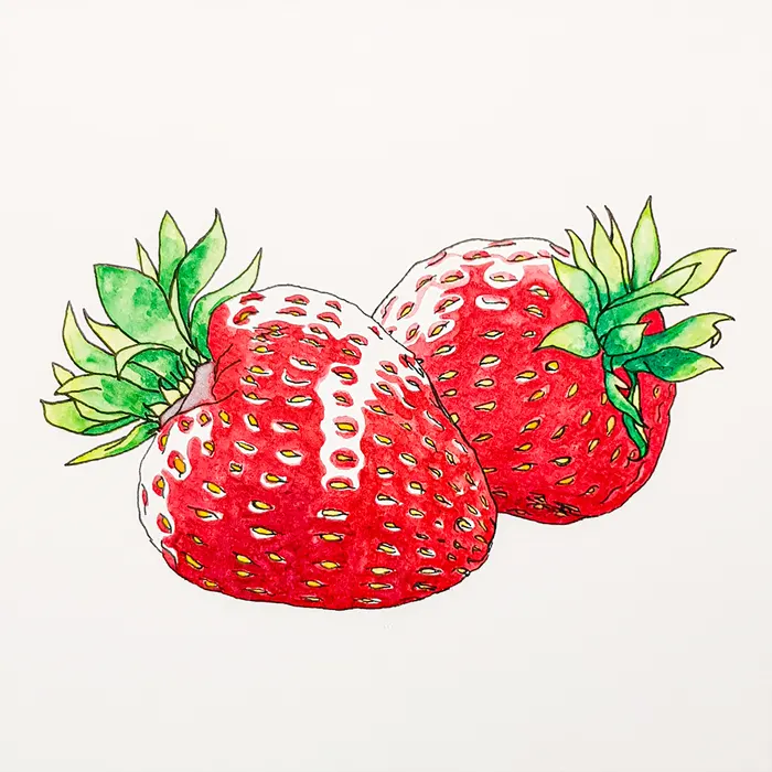 Eine saftige Illustration zweier Erdbeeren.
